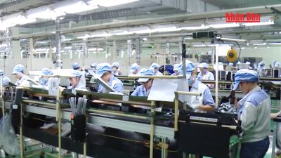 Việt Nam thời đại Hồ Chí Minh - Biên niên sử Truyền hình: Năm 2007
