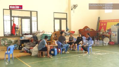 Cần sớm ổn định chỗ ở cho người dân sau thiên tai