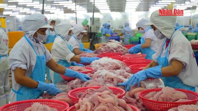 Việt Nam thời đại Hồ Chí Minh - Biên niên sử truyền hình: Năm 2009