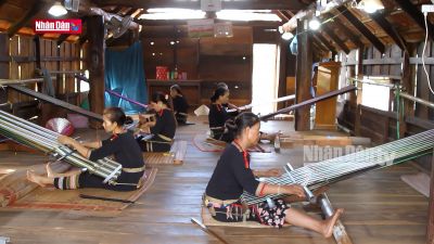 Phát huy vai trò của phụ nữ trong phát triển bền vững