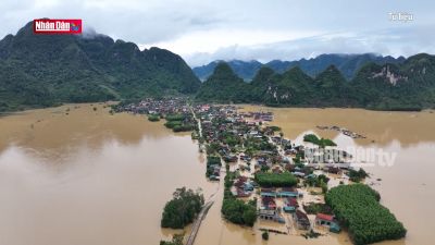 Giải pháp thích ứng với thiên tai