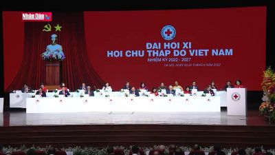 Hội Chữ thập đỏ với vai trò đảm bảo an sinh, xã hội