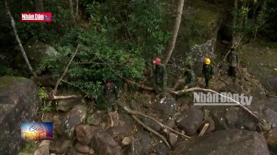 Môi trường xanh: Quảng Nam gỡ khó để gia nhập thị trường carbon