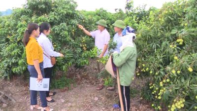Chú trọng ứng dụng khoa học và công nghệ ở vùng khó khăn
