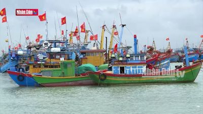 Hướng đến phát triển kinh tế biển xanh