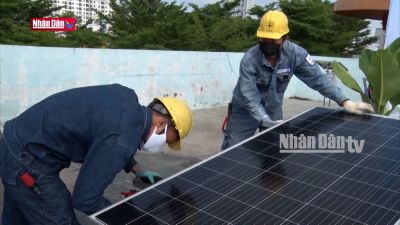 Vai trò của năng lượng tái tạo với mục tiêu net zero