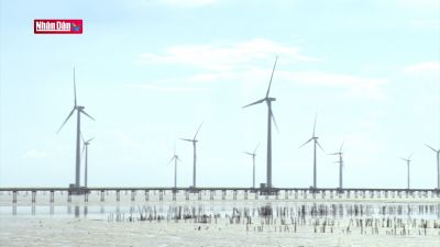 Năng lượng tái tạo: Điểm sáng trong thu hút đầu tư