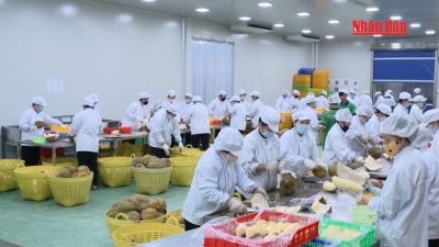 Việt Nam thời đại Hồ Chí Minh - Biên niên sử truyền hình: Năm 2010 (Phần 1)