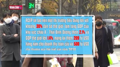 RCEP và bài học kinh nghiệm từ EVFTA