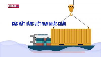 Việt Nam - Hà Lan: Mối quan hệ năng động và hiệu quả