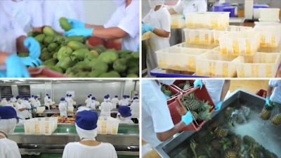 Đẩy mạnh xuất khẩu trái cây ASEAN sang thị trường thế giới