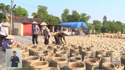 Người khuyết tật Ninh Bình góp phần gìn giữ làng nghề dệt cói truyền thống