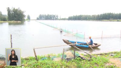 Nuôi trồng thủy sản: Hướng đi cho cộng đồng người khuyết tật