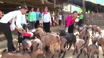 Lào Cai: Hiệu quả trong công tác giảm nghèo bền vững