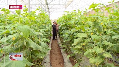 Đẩy mạnh phát triển nông nghiệp công nghệ cao