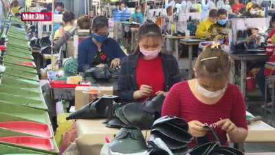FTA - Sức bật cho doanh nghiệp trong bối cảnh mới