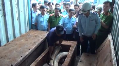 Tìm hiểu pháp luật (Số 36)